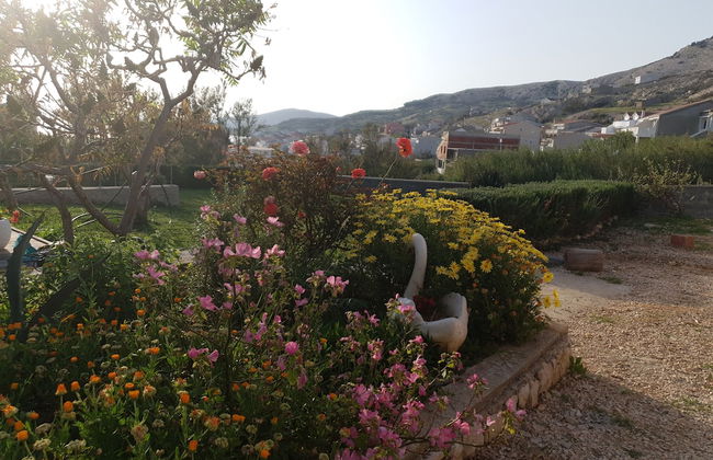 Apartments Dalmatinka Metajna Novalja - Foto 50