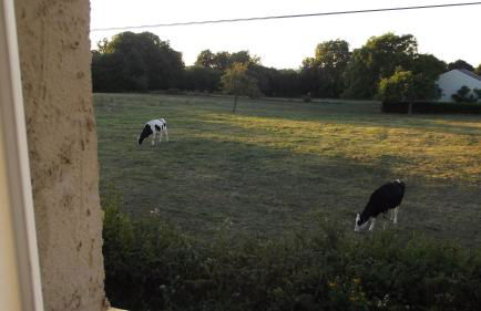 Les Forges 2 - Foto 35