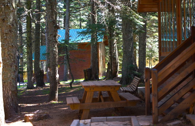 Karinna Forest Houses - Foto 45