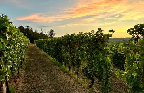 Bricco Aivè - Foto 26