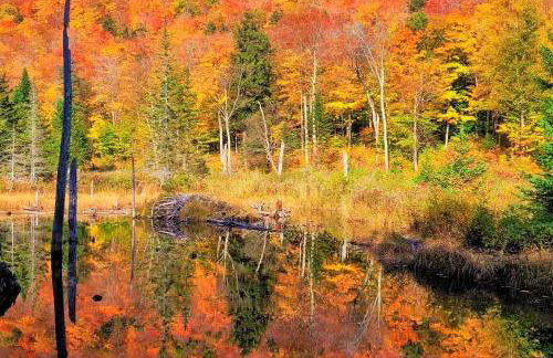 Lake Champlain Home with Decks, Kayaks and Fire Pit! - Foto 42