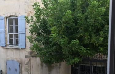 Le cœur de Lourmarin Loulou en Luberon - Foto 36