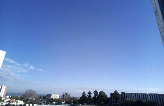 Rose Of Rose - Photo 16