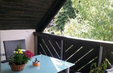 "Heiterer Blick" - Foto 18