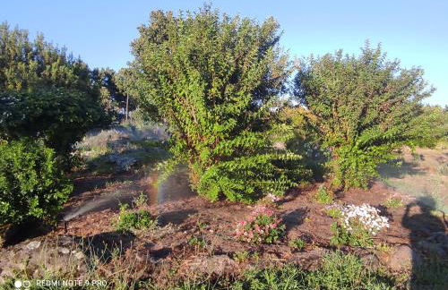 Quinta Damigo - Foto 63