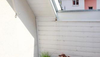 Home-sweet-home - Photo 5