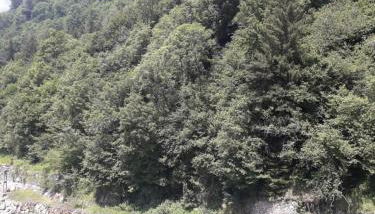 Résidence Ramond Barèges - Foto 1