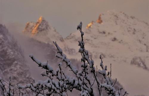 Le Manoir, appartement Beryl - Foto 33