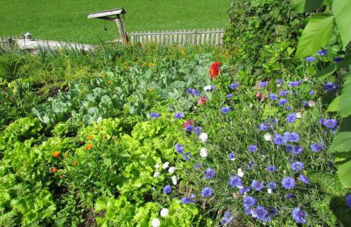 Oeberst-hof - Foto 38