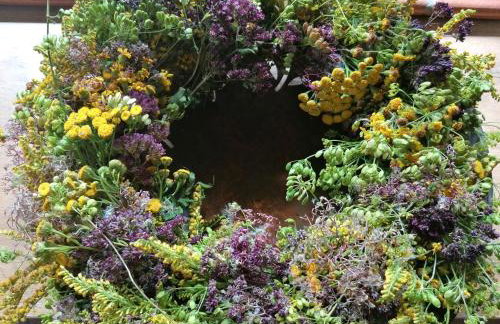 Apfelbluete und Paradies - Foto 25