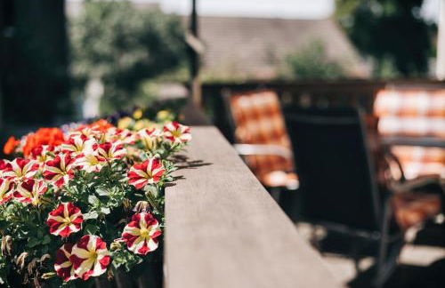 Littehof - Ferienwohnungen in der Oberlausitz - Foto 21