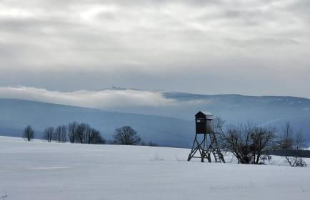 Ferienwohnung "Waldzauber" - Foto 39