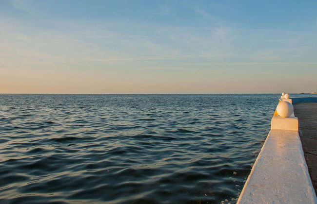 Esperienza privata di pesca a Campeche - Foto 6