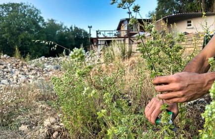 The Root House - Crete Stay - Foto 41