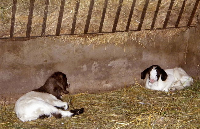 Agriturismo La Piana - Foto 54