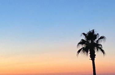 Coves Noves Nice apartment of 75 m2 10 minutes walk from the beach of Arenal d'en Castell - Foto 29