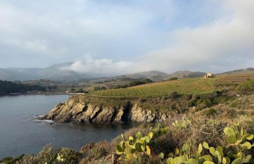 Entre Terre et Mer - Foto 27