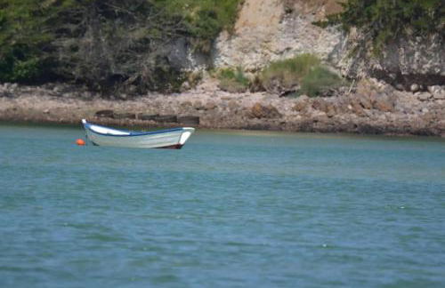 Gite Petite Chaumière-La Corne d'Or - Foto 20