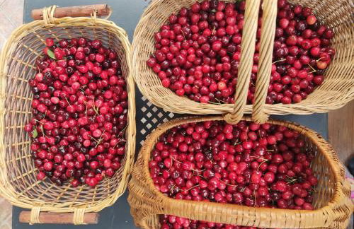 Cascina Bruna - Terrazza panoramica e giardino a Bobbio, Val Trebbia - Foto 45