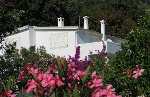 Villa Giulia - Apartment in Villa with sea view - Foto 1