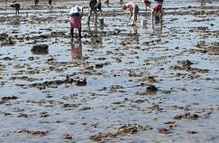 Gîte d'Anne et Ulysse - Foto 48