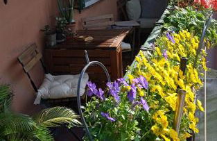 Casa Il Gelsomino - Photo 27