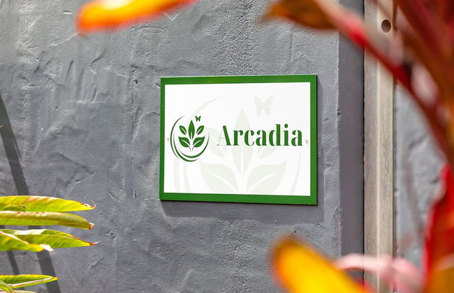 JanDar Retreat Maleny - Foto 12