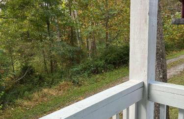 3BR Pet Friendly Cottage Mathias WV - Foto 41