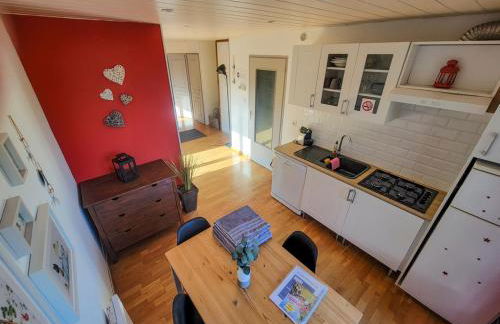 Terrasses du Zimmerberg - Photo 2