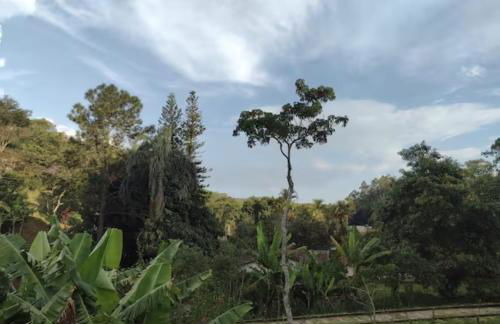 Cantinho da Vovó Regina - Foto 50