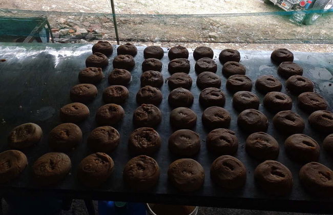 Tour da rapadura - Foto 4