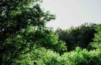 Balia i Las Domek nad jeziorem MoreLife House - Foto 19