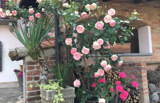 Cascina Il Bricco - Photo 42