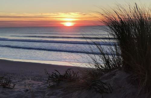 Maison des fleurs d'Ajoncs - Photo 1