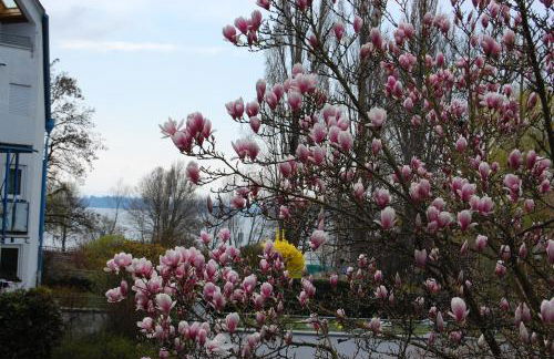Uferresidenz Überlingen - Foto 20