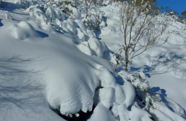 VUT Corea324 - Photo 22