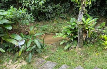 Paraíso do Sana - Photo 31