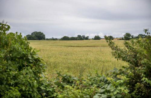 Ferienwohnung Lichtblick - Foto 30