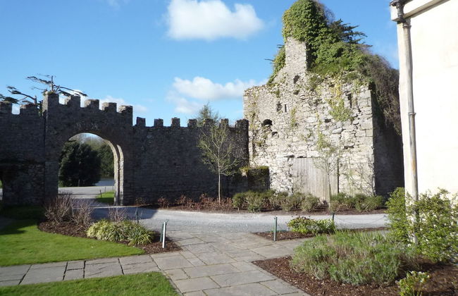 Castlemartyr Mews - Photo 42