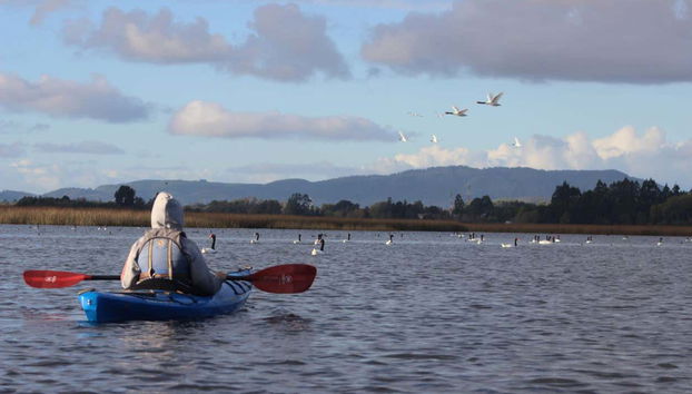 Kayak along the Valdivia River