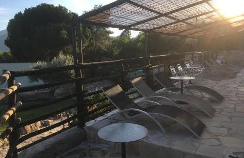 Finca 13 Ramas - Photo 10