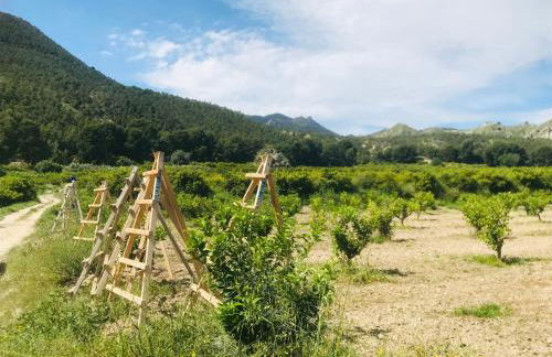 Casa Ramoncico. Finca el Campillo - Foto 37