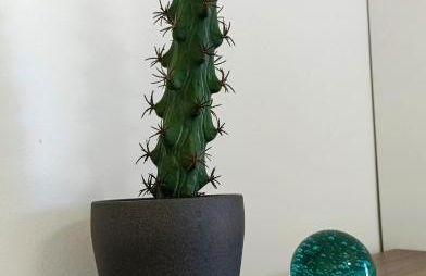 Beautiful 1 Bedroom Apartment with Mountain View - Foto 25