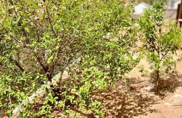 Chácara Aconchego da Serra com Piscina - Foto 59