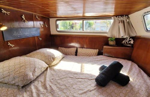 C'la Vie - Proche Fontainebleau - Bateau - Foto 14