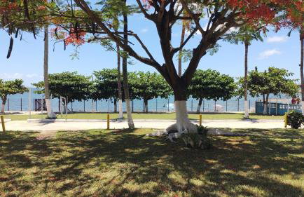 Encanto da Lagoa - Foto 28