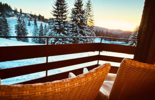 Mitten auf dem Feldberg Panorama Apartment Bergglück - Foto 7