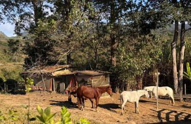 Pousada Rural Vista do Limoeiro - Photo 31
