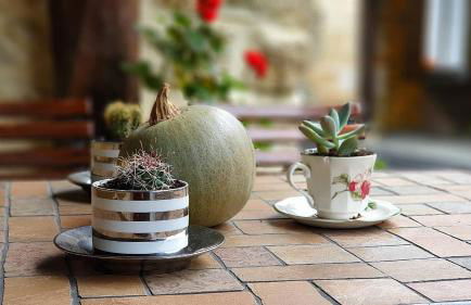 Viviendas Rurales Costa de Bolao - Foto 3