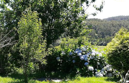 Raio do Sol - Apartamento Turístico - Foto 23